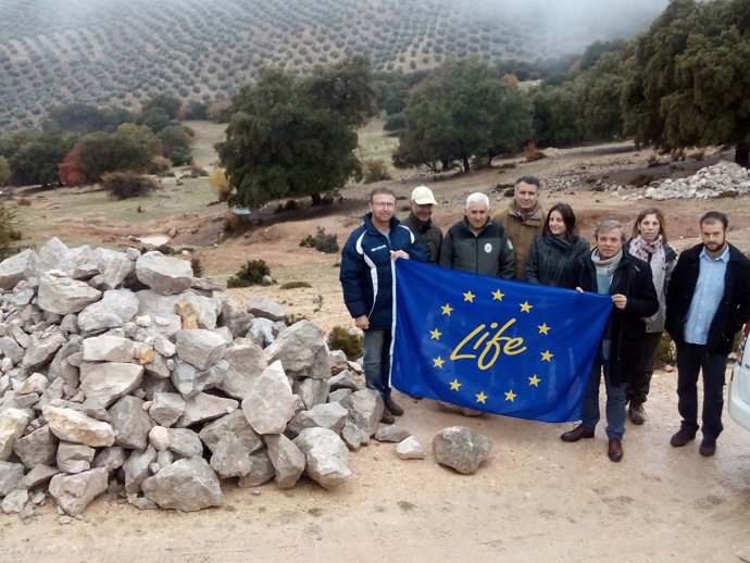 Trabajos del proyecto Life+BioDehesa en Cambil (Jaén)