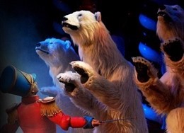 Osos polares animados