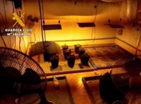 Una detención por robo de material en Tarazona descubre una plantación de marihuana
