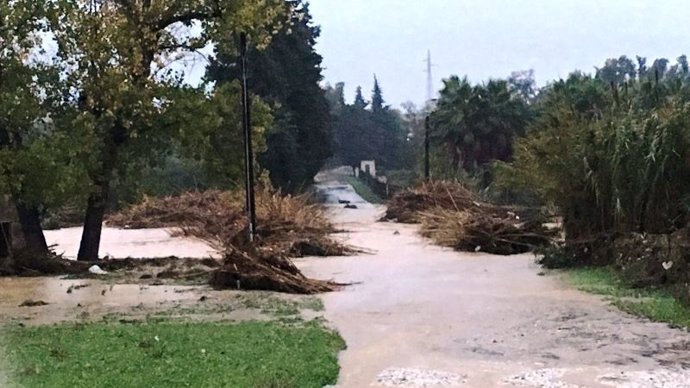 Avance De Las Actuaciones Del Dispositivo De Emergencias De Alhaurín De La Torre