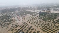 Asaja prepara el protocolo para indemnizaciones por inundaciones en cultivos de Málaga