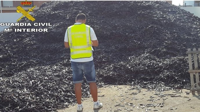 Agente del Equipo ROCA de la Guardia Civil