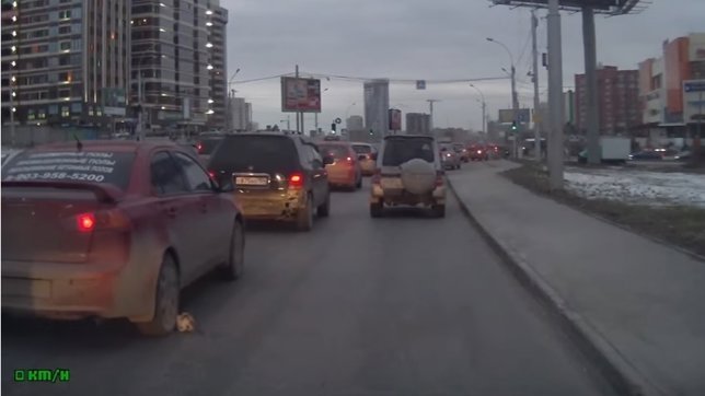 Un gato se salva de milagro de ser atropellado