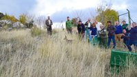 Liberados ejemplares de corzos en el Parque Natural Sierra de Huétor (Granada)