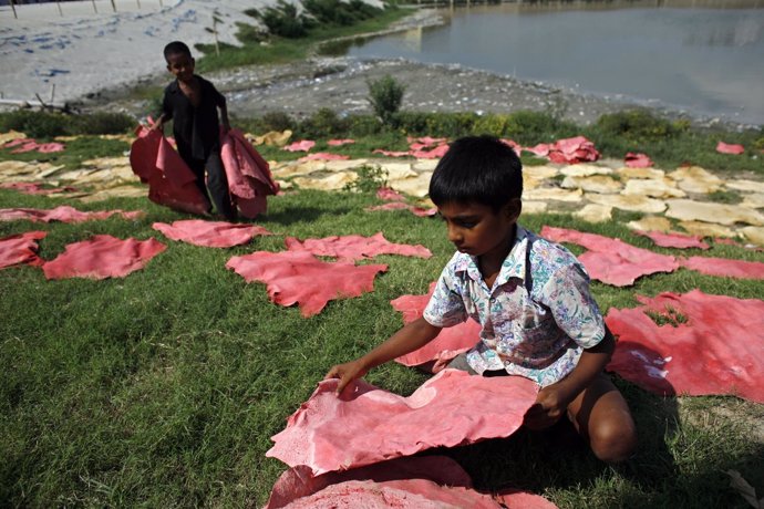 Varios niños recogen cuero seco en Daca.
