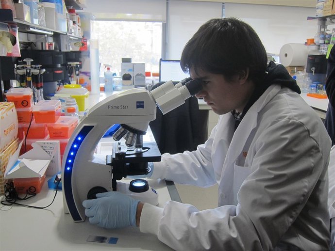 Investigación, ciencia, laboratorio, instituto