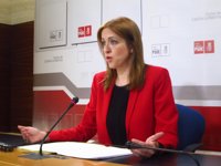 PSOE ve a Guarinos "con puntos" para suceder a Cospedal