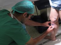 Casi un tercio de la población sufre problemas circulatorios por varices