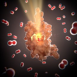 Bacterias, resistencia fármaco, antibióticos