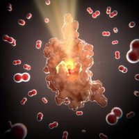 Descubren un nuevo mecanismo contra las bacterias resistentes a los antibióticos