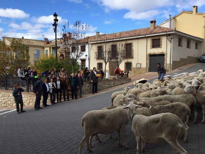 Paso de ganado trashumante 