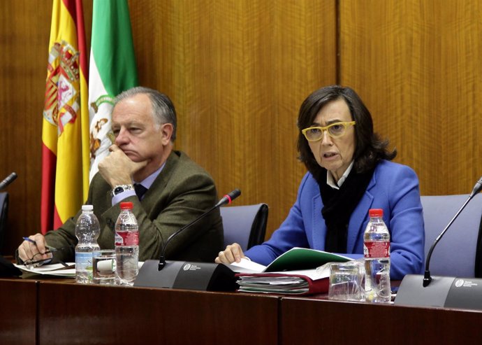 Comparecencia en comisión parlamentaria de la consejera de Cultura, Rosa Aguilar