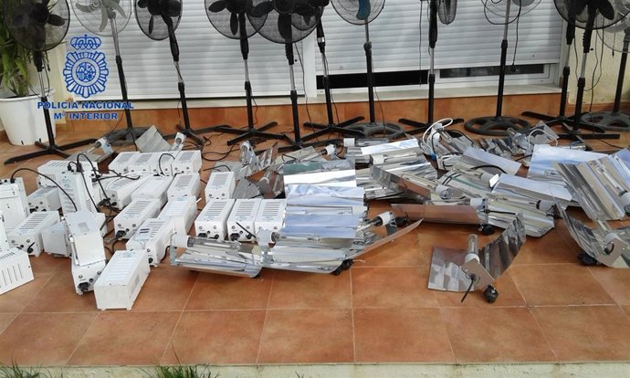 Nota De Prensa Y Fotografía: La Policía Nacional Desmantela Una Plantación De Ma