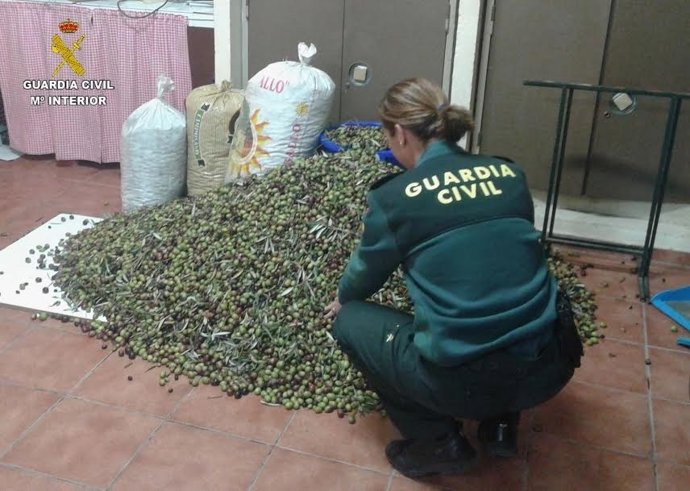 Recuperan 500 kilos de aceitunas robadas en Bonares.