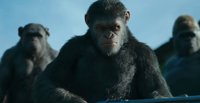 Tráiler en español de La guerra del planeta de los simios