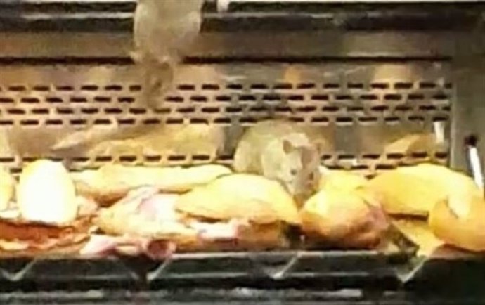 Imagen de ratas junto a comida en el establecimiento