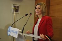 Vaquero (PP) apuesta por más inversión y menos fiscalidad para los Presupuestos de 2017