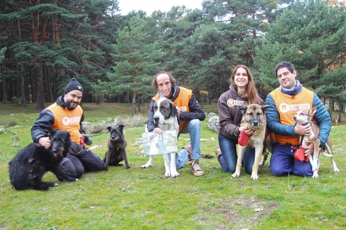 El Refugio Anima A La Adopción De Perros Mayores Con Su Calendario Solidario