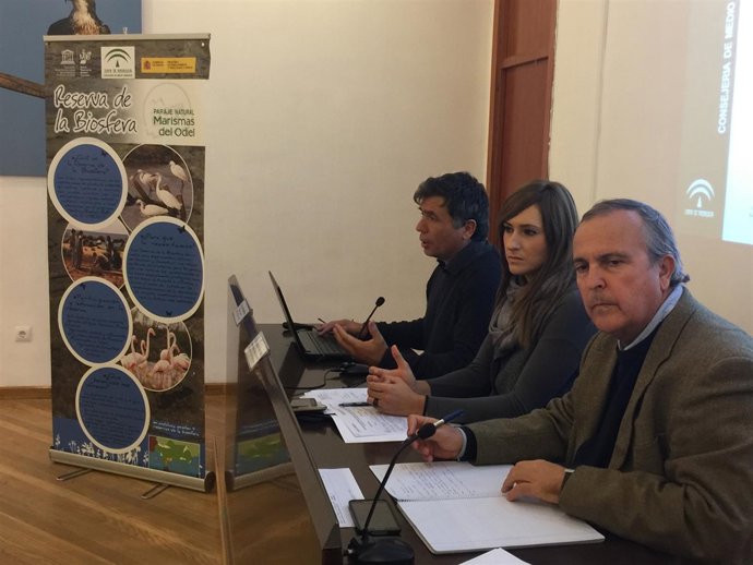 Patronato Marismas del Odiel