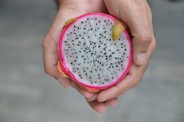 Una pitahaya de cerca