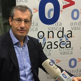 El diputado general de Gipuzkoa, Markel Olano.