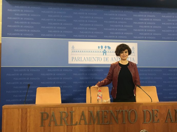 La portavoz adjunta del grupo parlamentario de Podemos, Esperanza Gómez