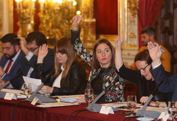 Ana Carrera, diputada provincia de Empleo en la Diputación de Cádiz 