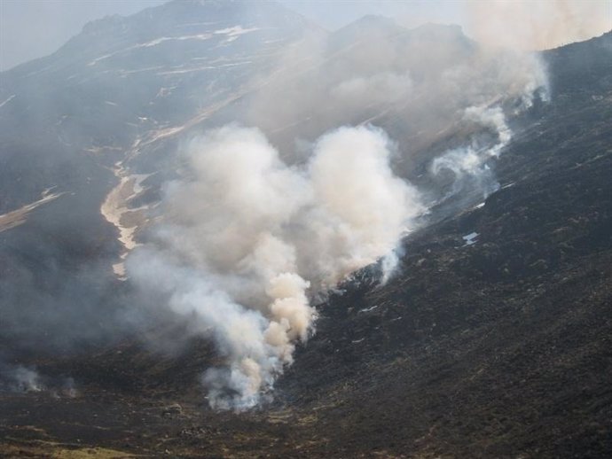 Incendios forestales