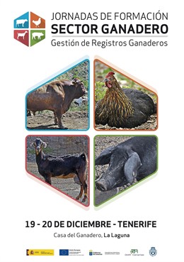 Cartel de las jornadas
