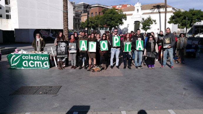 Acción reivindicativa de Cacma en Huelva