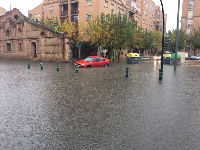 Carretera de El Palmar