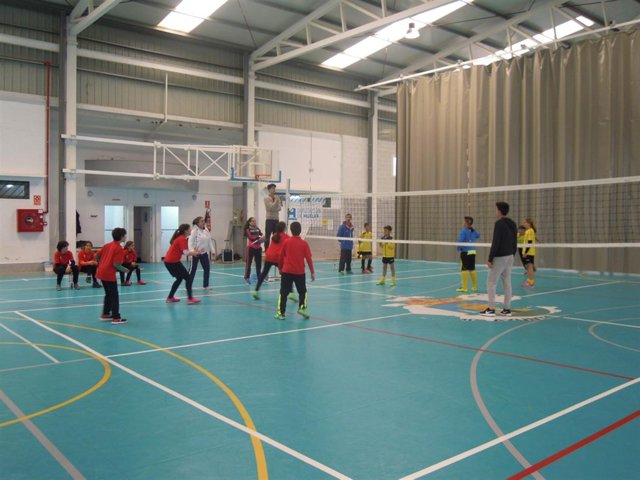 Árbitro De Voleybol Contemple El Juego