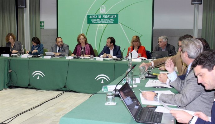 Reunión del Consejo Andaluz del Olivar. 