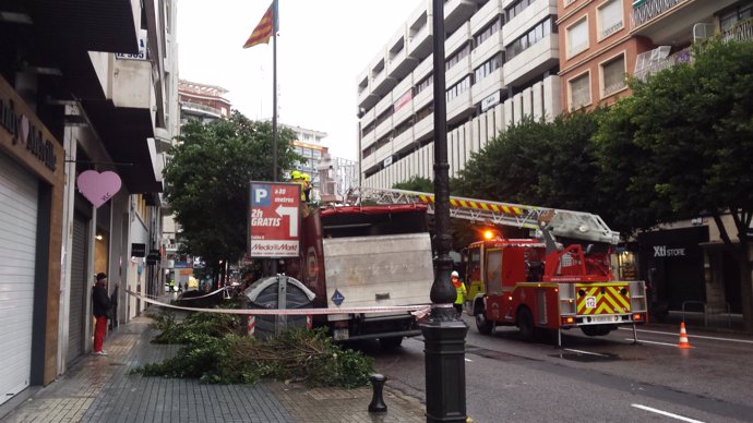 Arbol caído en la calle Colón de Valencia