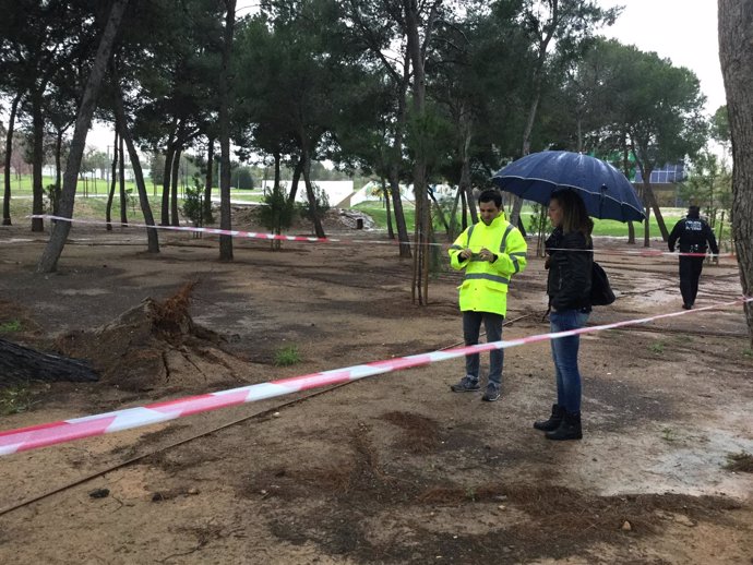 Lluvias en Paterna