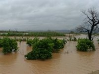 Ava-Asaja cifra en 170 millones las pérdidas del sector agrario por el temporal