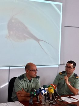 La Guardia Civil presentó este martes los detalles de la investigación