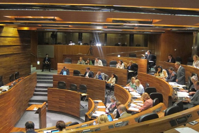 Pleno Junta General septiembre 2013