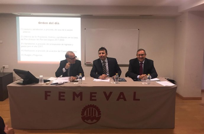 Asamblea General Femeval 2016