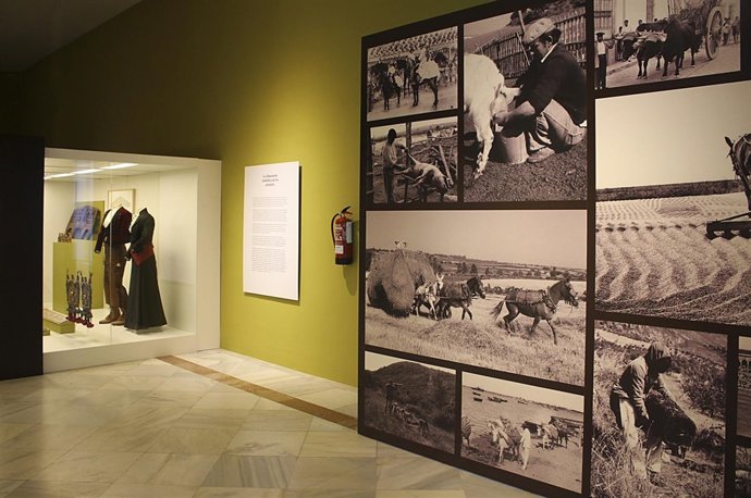 El Museo de Artes y Costumbre inaugura 'Animalia'