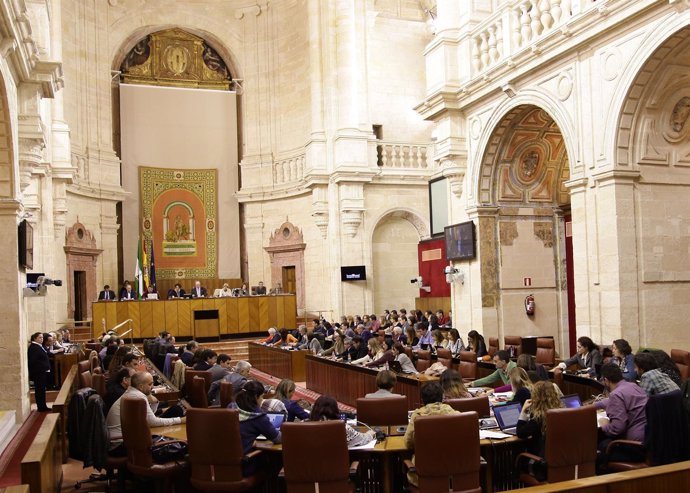 Pleno del Parlamento andaluz