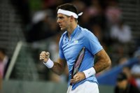 Del Potro pone en duda jugar el Abierto Australia y la Copa Davis ante Italia