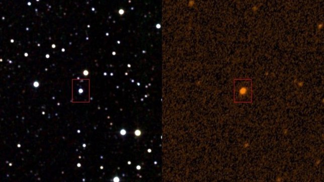 La estrella de Tabby en infrarrojo y ultravioleta