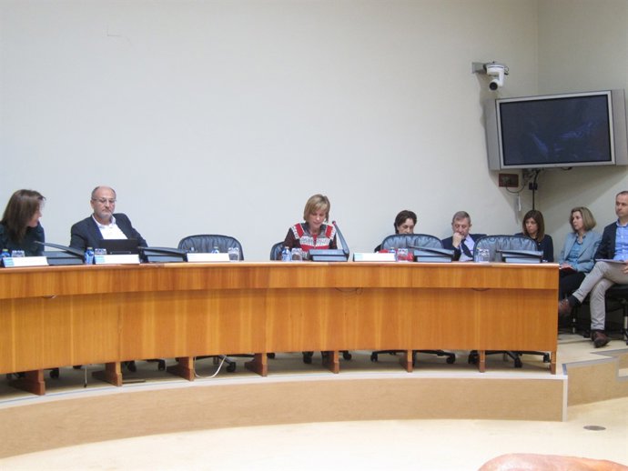 Nava Castro comparece en el Parlamento