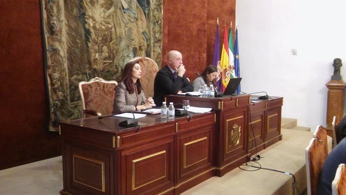 Antonio Ruiz preside el Pleno de la Diputación de Córdoba