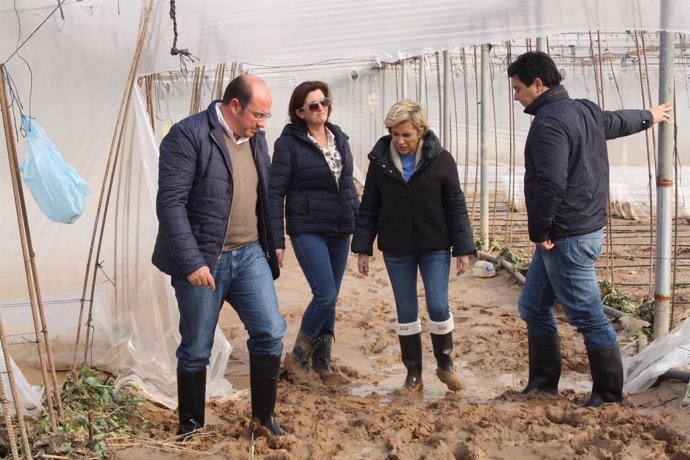 El presidente de la Comunidad visitó hoy explotaciones agrícolas afectadas