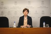 El PP presenta 35 enmiendas parciales al presupuesto asturiano