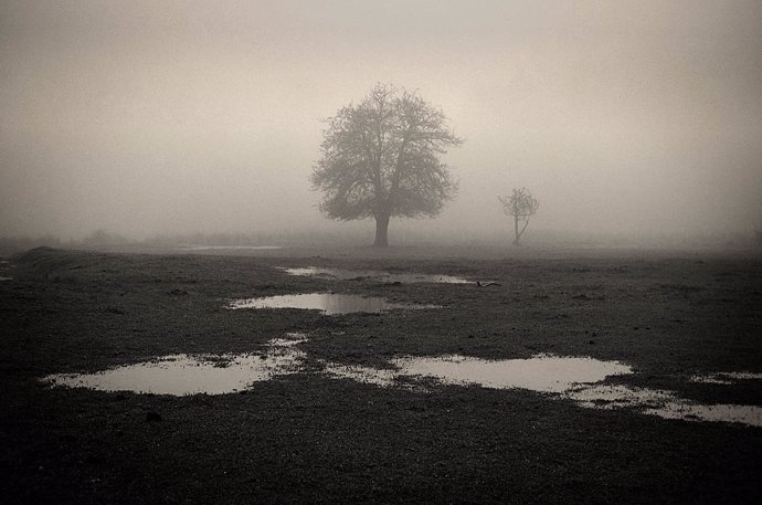 Fotografía de la exposición