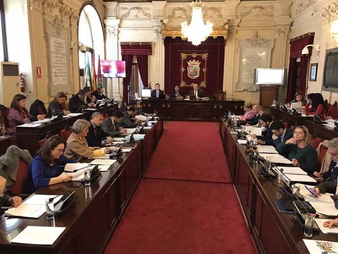 Pleno de Málaga. Noviembre 2016