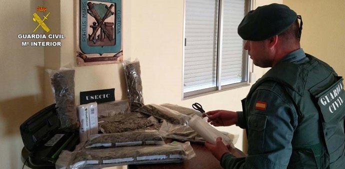 Marihuana intervenida